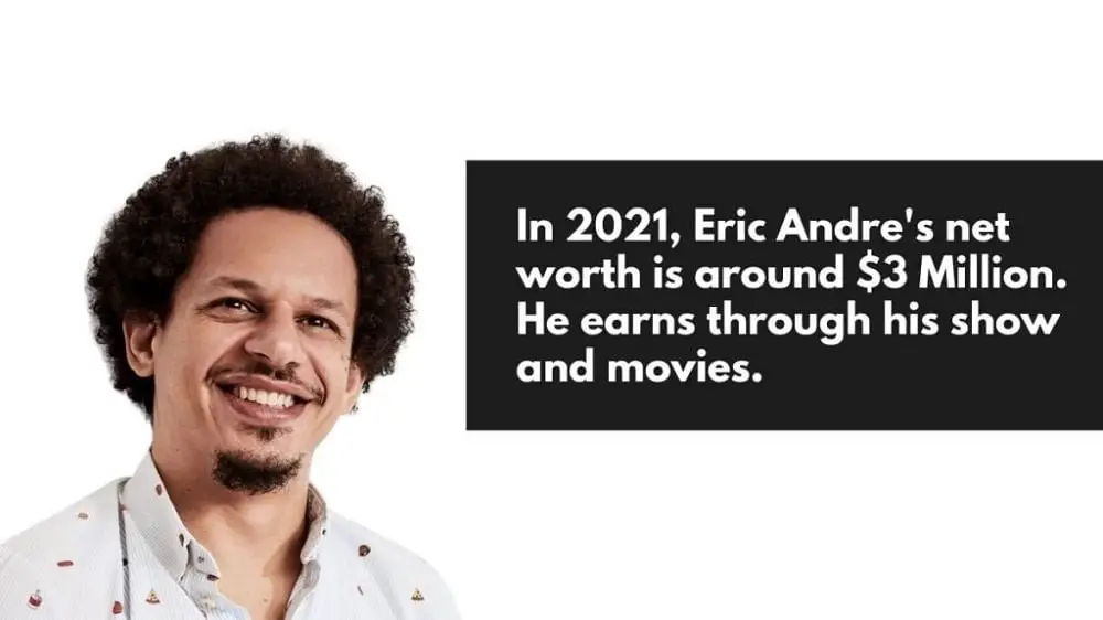 Eric Andre Net Worth Findnetworth