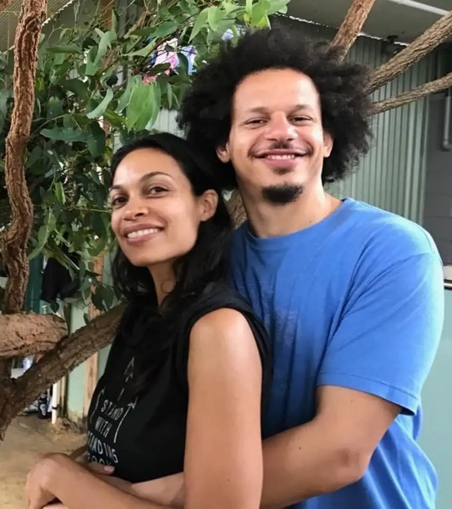 Eric Andre Relationships and Splits Findnetworth 