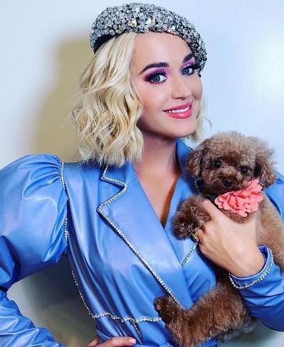 Katy Perry Net Worth Katy Perry Age Katy Perry Height Katy Perry Daughter